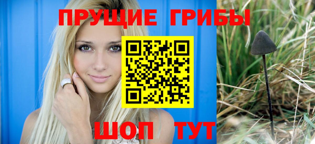 Сланцы  Псилоцибиновые грибы MAGIC MUSHROOMS  Вход с VPN  Псилоцибиновые грибы ЛСД 