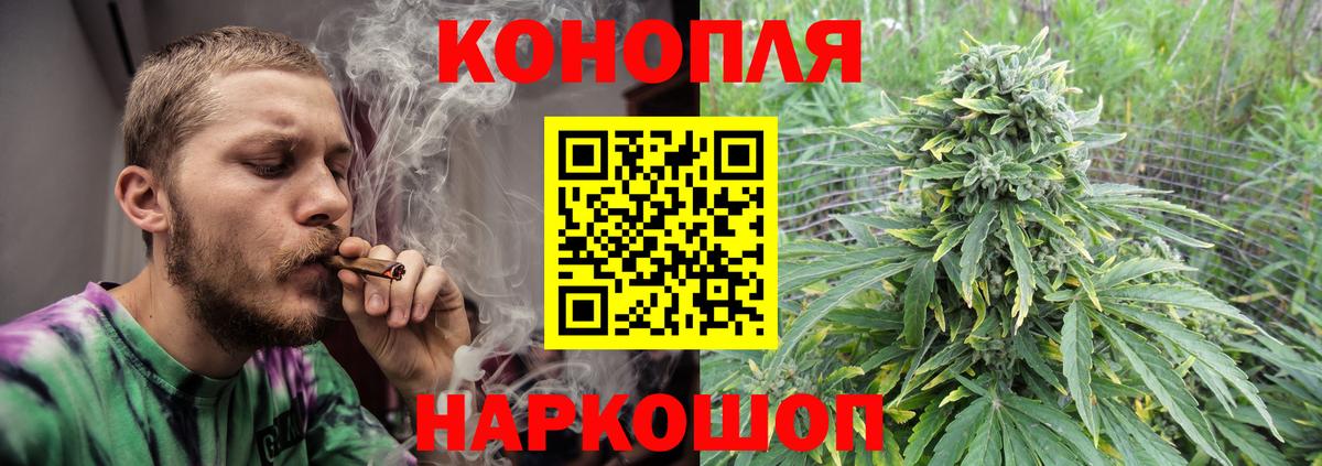 Канабис планчик  Вход с VPN  Сланцы  Бошки Шишки сатива 